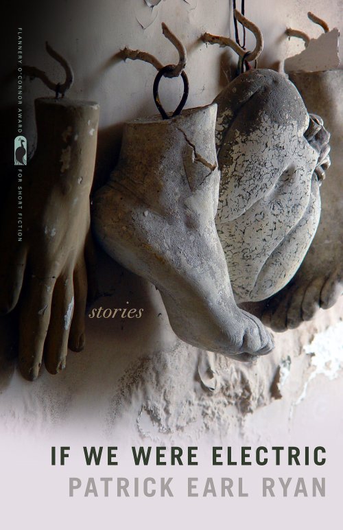 book cover: plaster casts of hand, foot, and heart hanging on a wall.